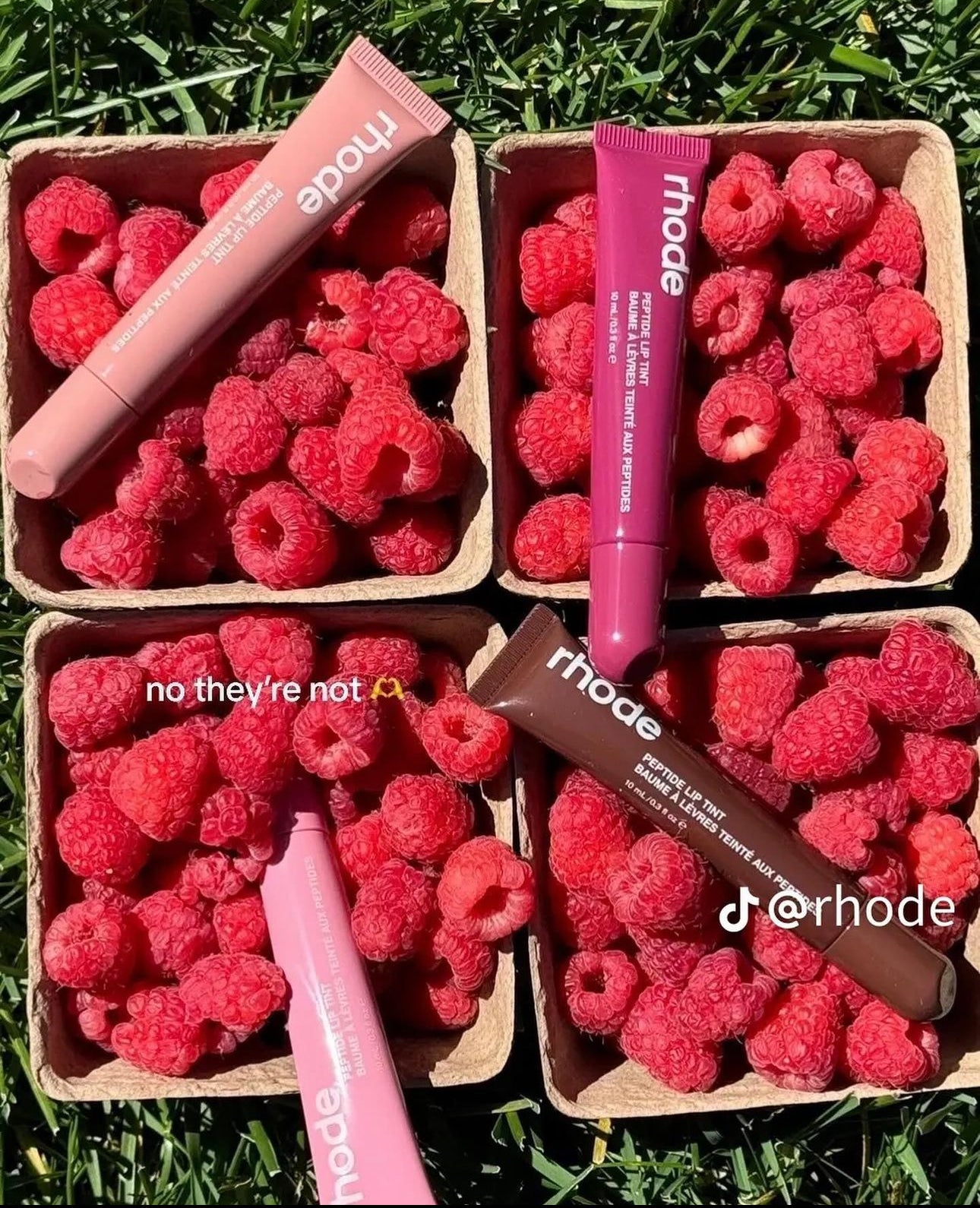 Rhode Peptide LIp Tint